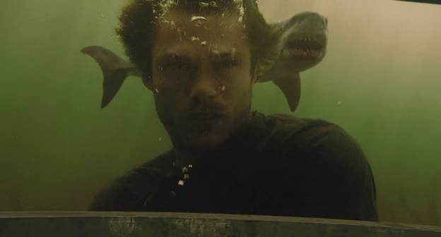 SHARK 3D (Shark Night) de David R. Ellis (2011)