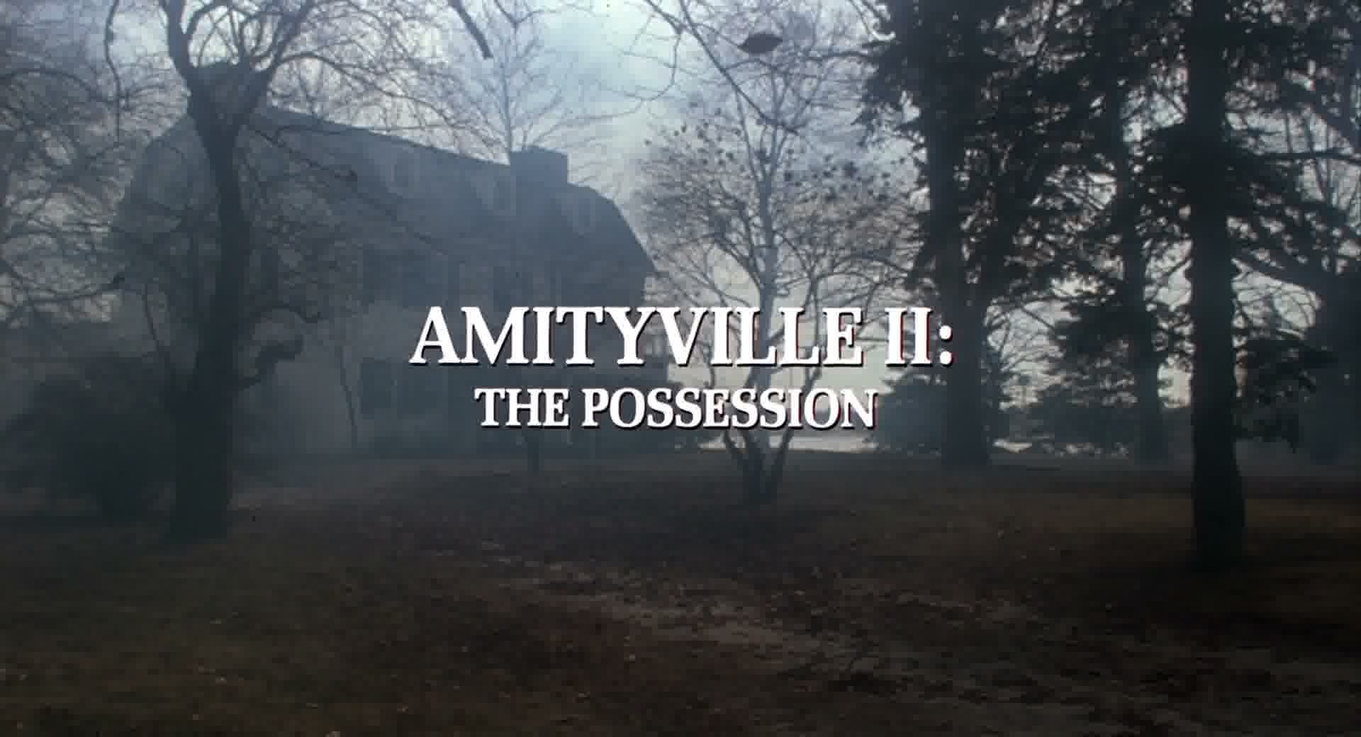 AMITYVILLE 2 : LE POSSÉDÉ (Amityville II: The Possession) de Damiano Damiani (1982)