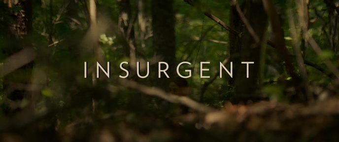 DIVERGENTE 2 : L’INSURRECTION (Insurgent) de Robert Schwentke (2015)