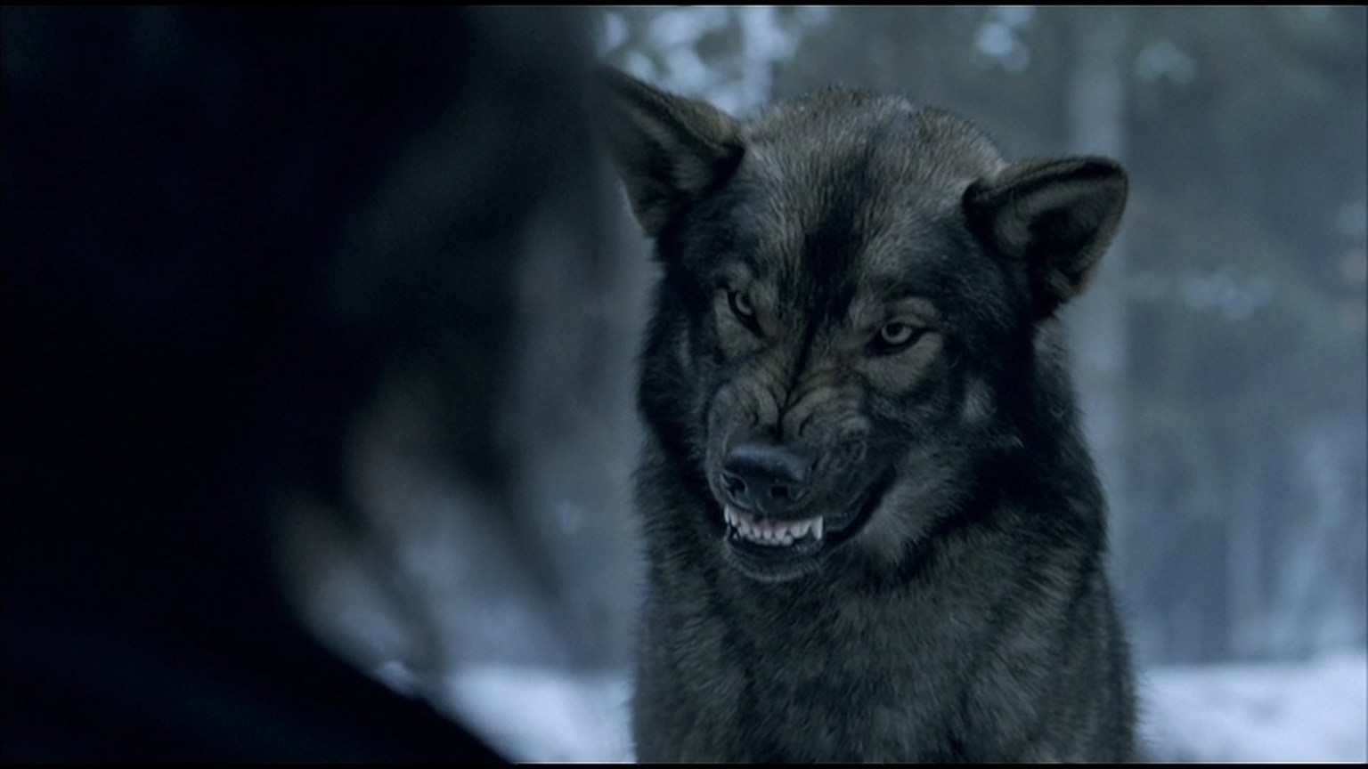 особо важный оборотень