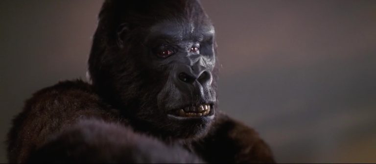 KingKong1976 31