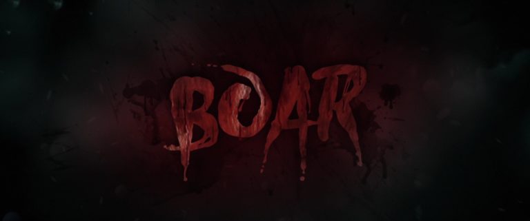 Boar02