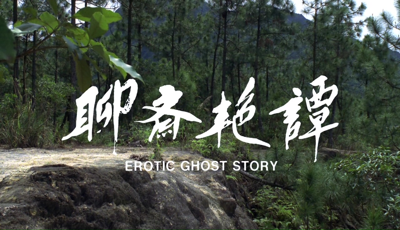 EROTIC GHOST STORY (聊齋艷譚) de Nam Nai Choi (1990)