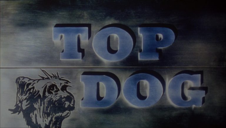 TopDog03