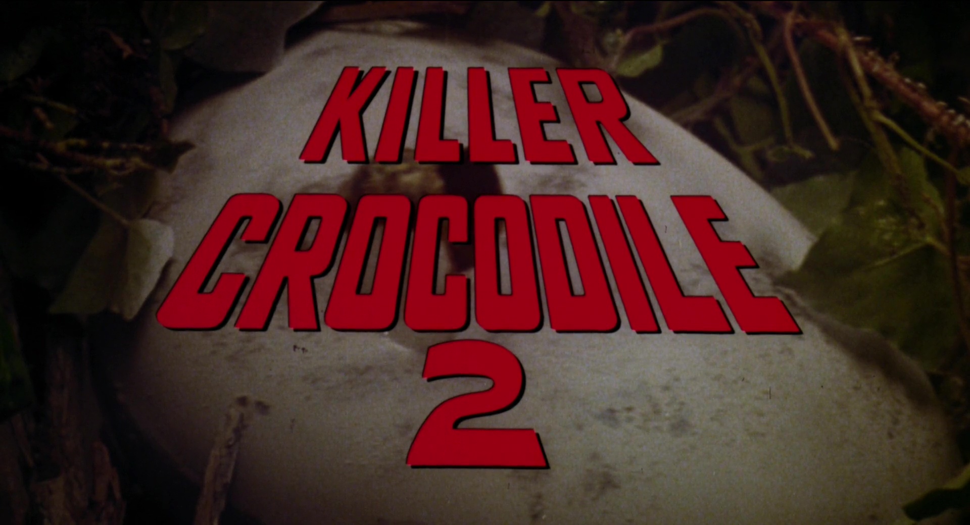 KillerCrocodile202