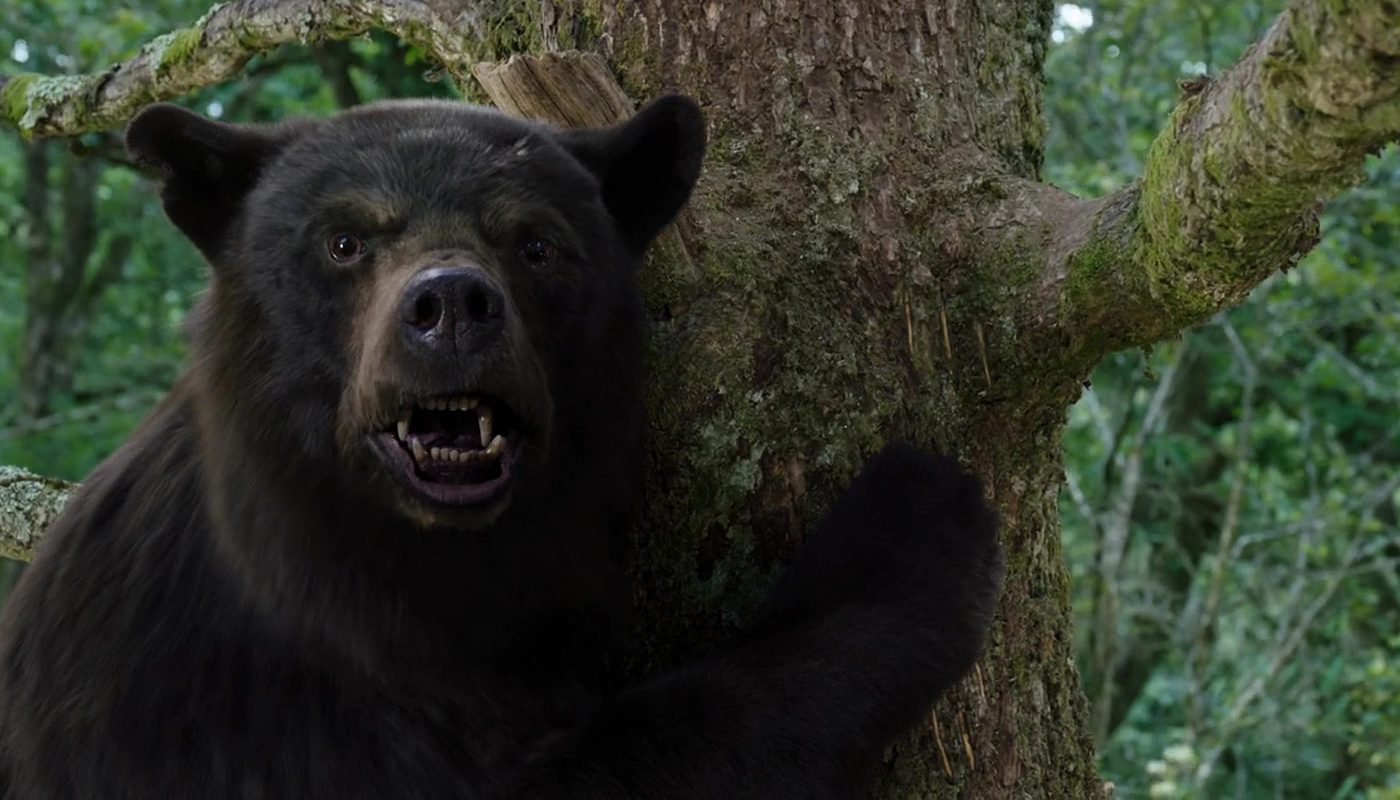 CRAZY BEAR (Cocaine Bear) de Elizabeth Banks (2023)