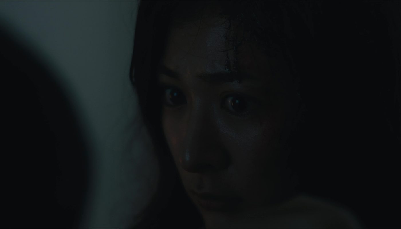 THE BLOOD (白く濁る家) de Tanaka Hiromi (2022)