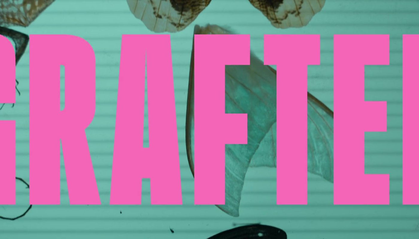 GRAFTED de Sasha Rainbow (2025)