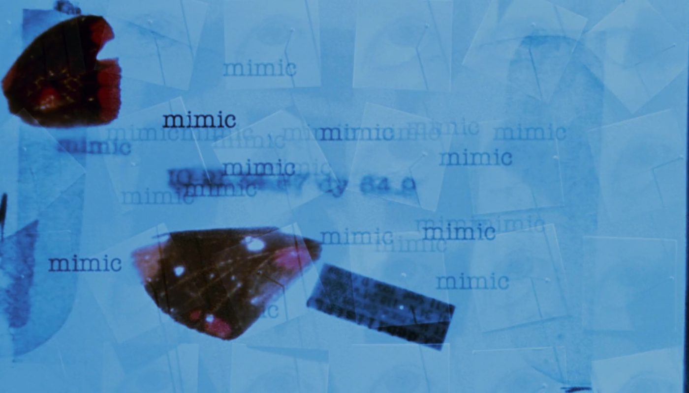 MIMIC de Guillermo Del Toro (1997)