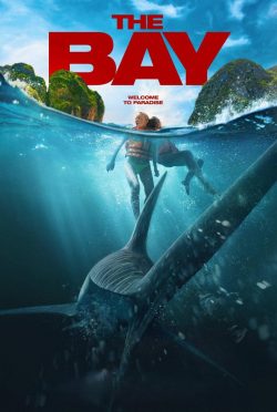 Bay 2026