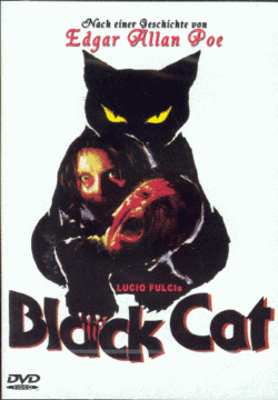 1981 Black Cat