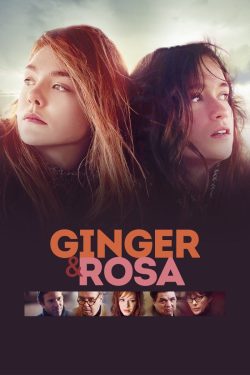 Ginger  Rosa
