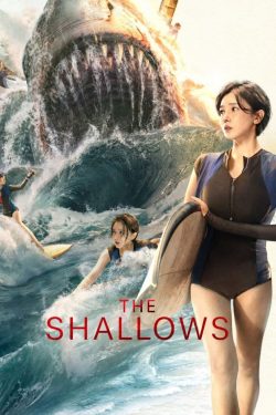 Shallows 2025